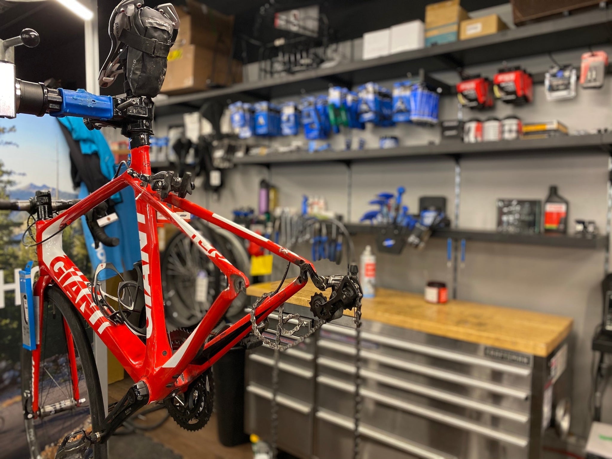 Fox Ranger Glove Atomic Orange – Comor Go Play Outside