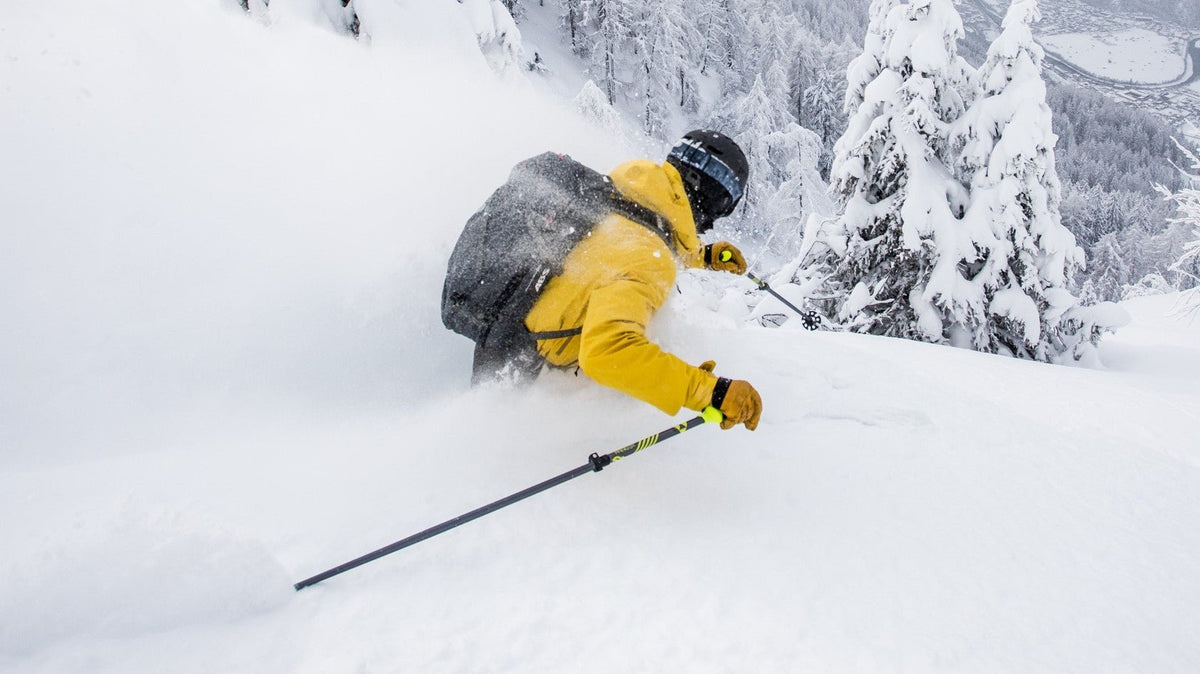 Ski Poles - Comor - Go Play Outside