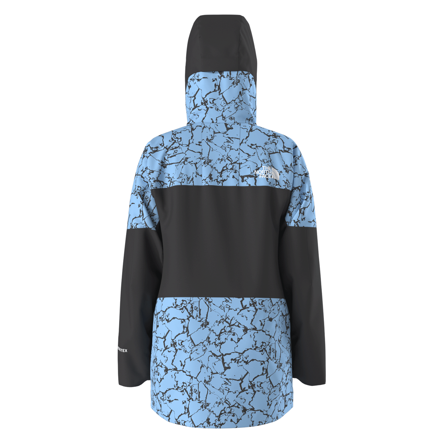 Gore tex jacket women's north face sales