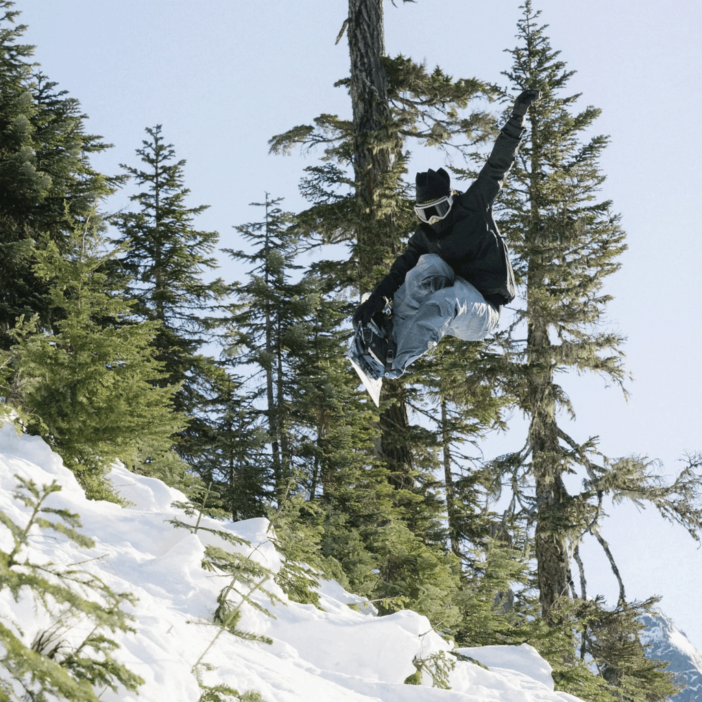 686 Women's Gore - Tex Willow Insulated Jacket 2026 Black - Comor - Go Play Outside