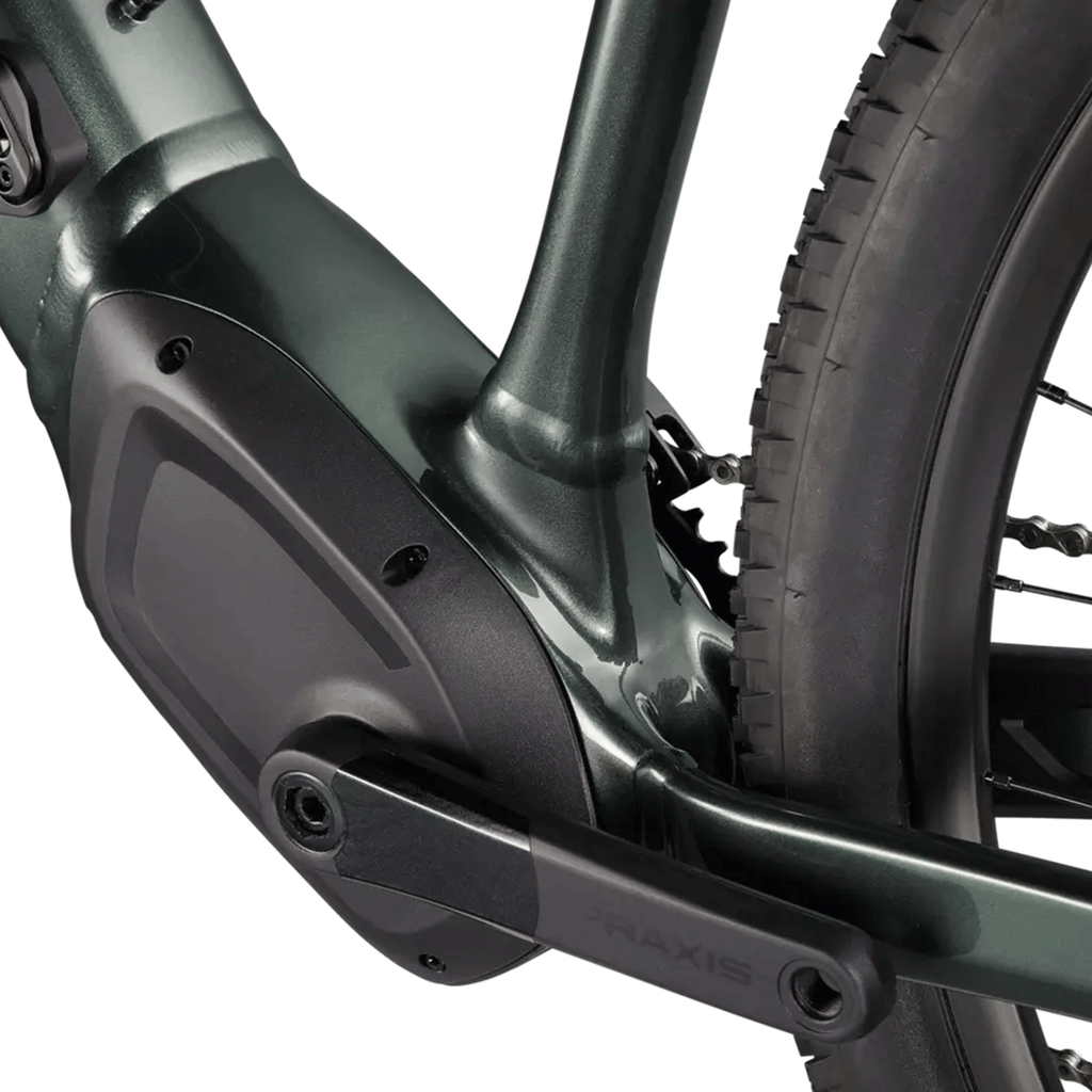 Specialized Tero 3.0 Bike 2025 Oak Green Metallic/Smoke - Comor - Go Play Outside